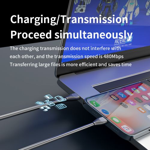 Línea de datos rápida